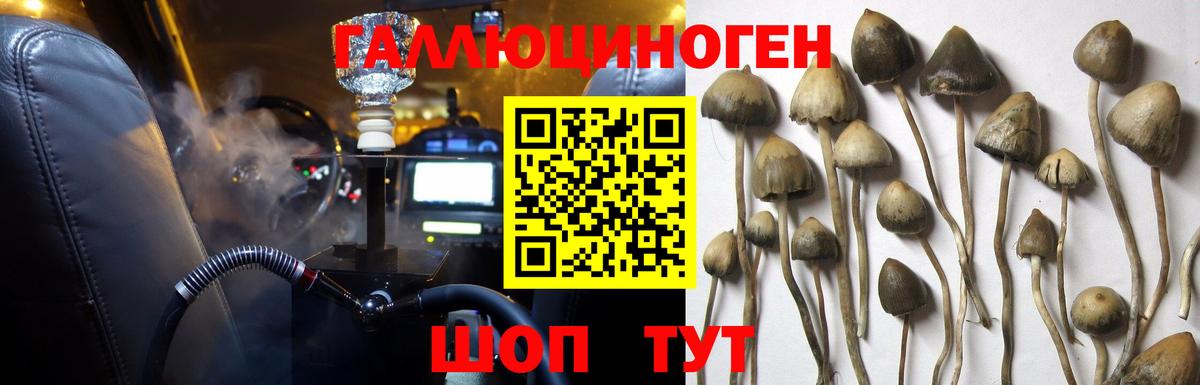 Псилоцибиновые грибы мухоморы Донской